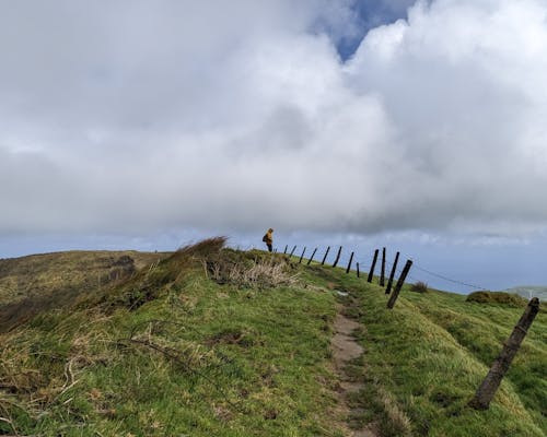 Person Standing by Fence on Green Hill