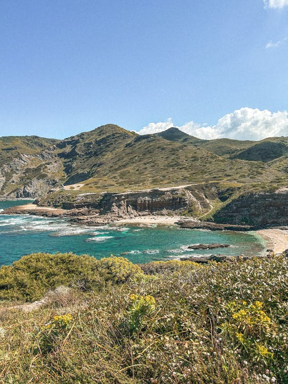 Foto profissional grátis de baía, cenário, colina