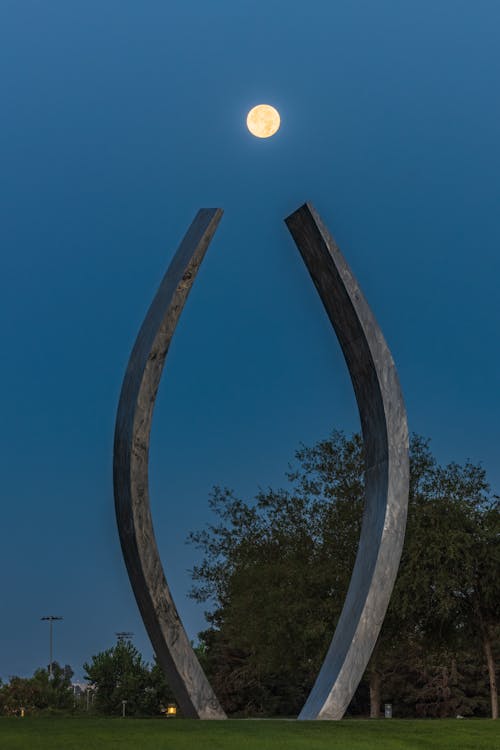 Foto d'estoc gratuïta de amèrica, Califòrnia, campus universitari