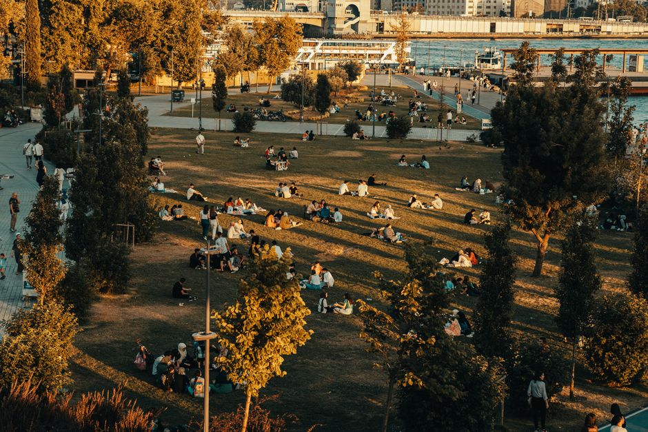people gathering in park