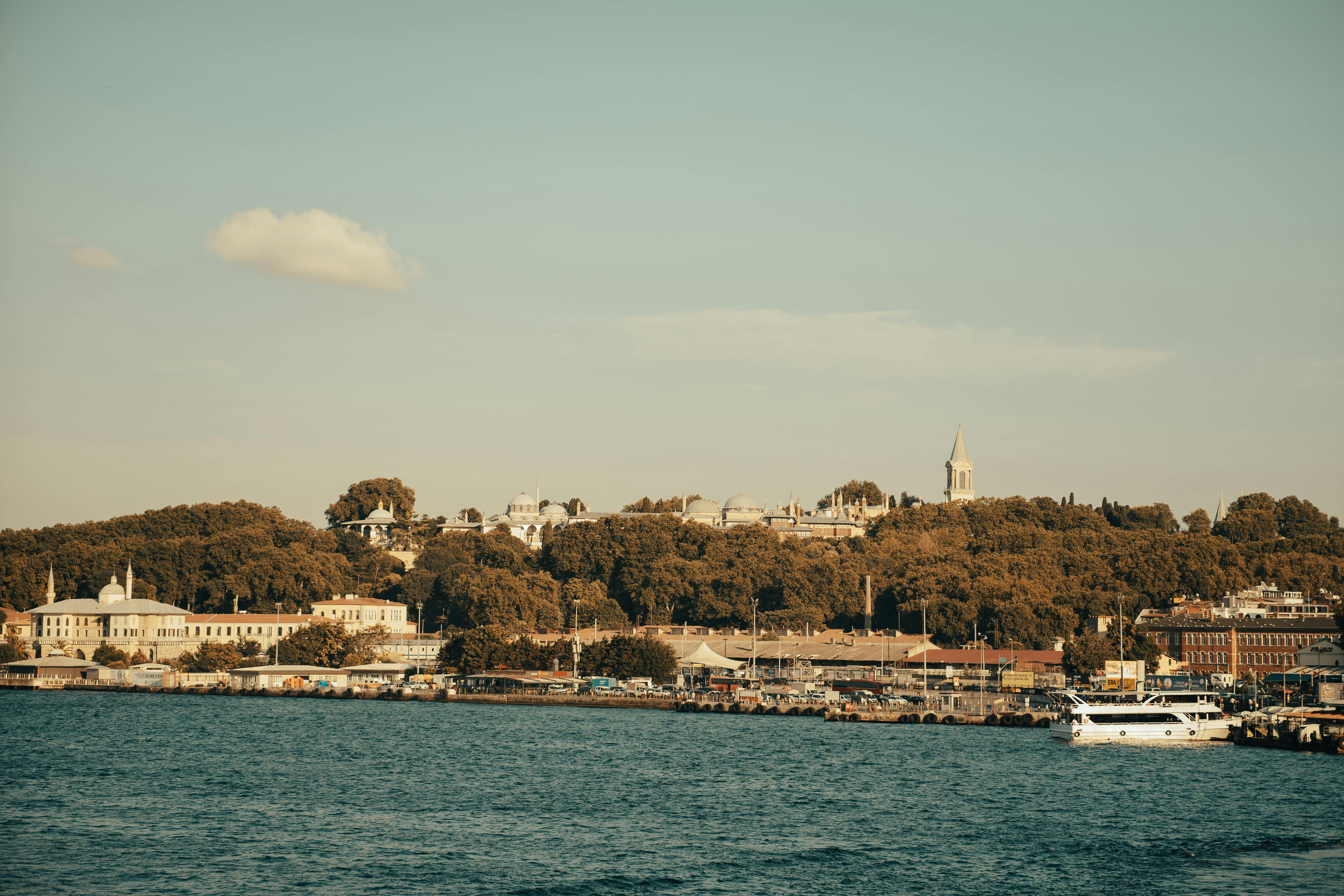 Gratuit Photos gratuites de ancien, arbres, architecture Photos