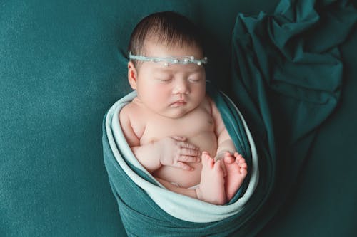 Foto stok gratis bayi, karet rambut, keranjang