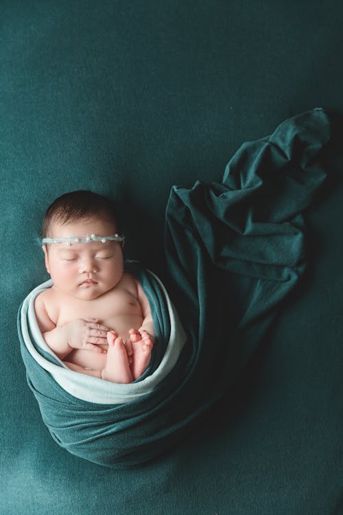 Foto stok gratis bayi, karet rambut, keranjang