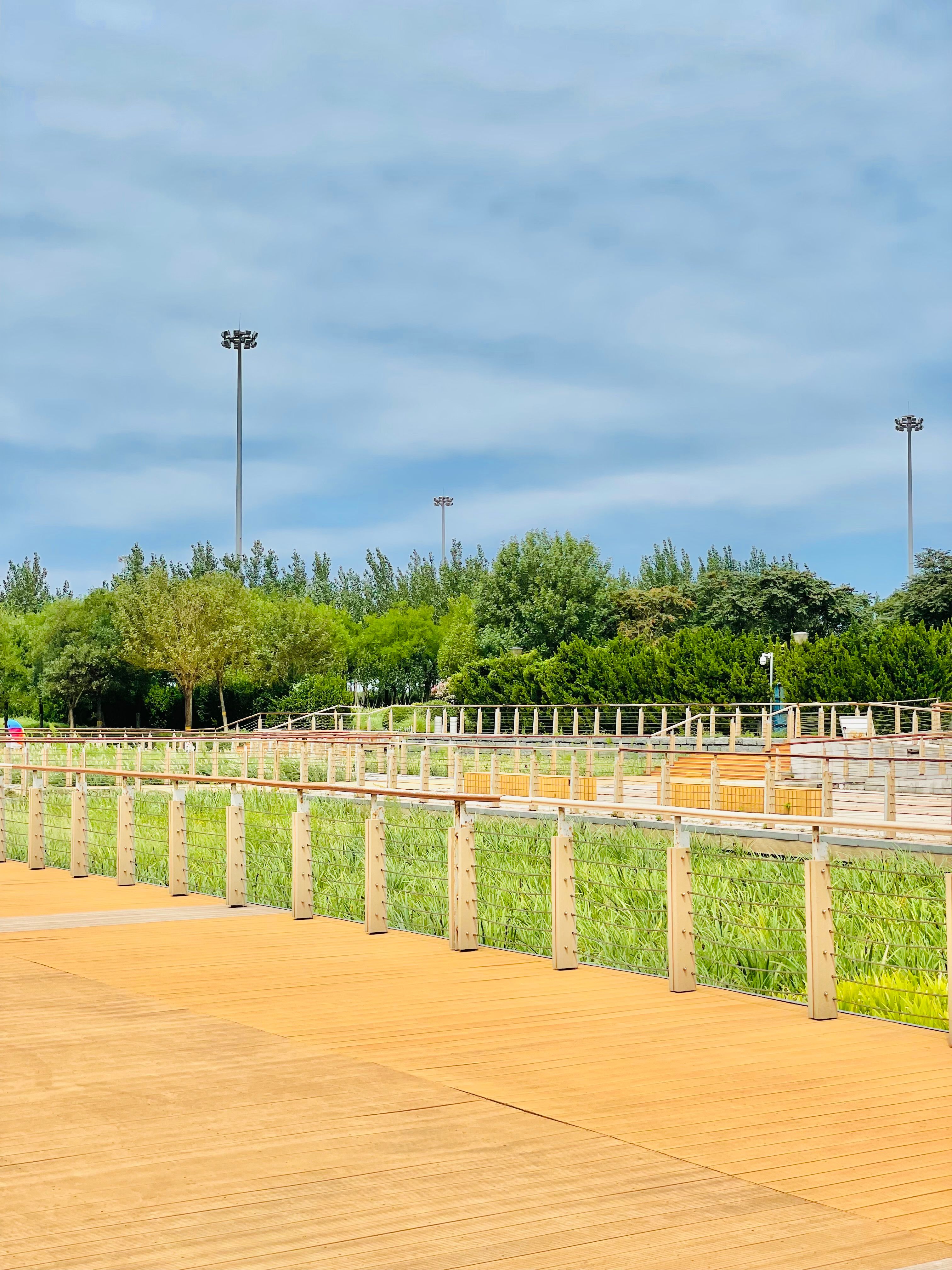 Pavement and Railings in Park · Free Stock Photo