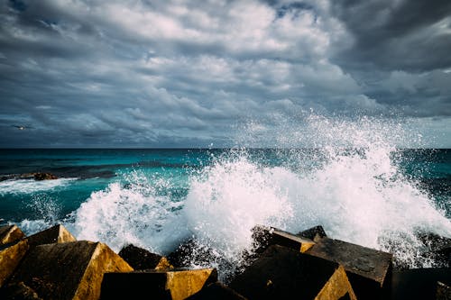 Foto profissional grátis de água, batida, beira-mar