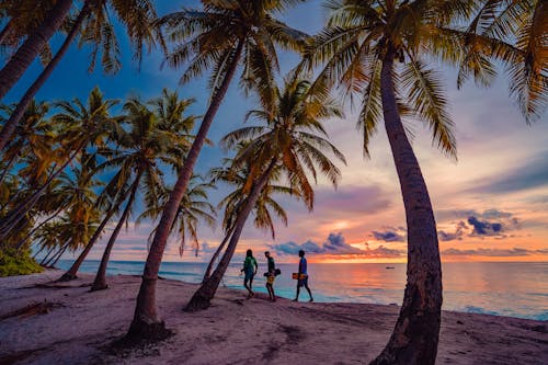 Island Beach Sunset through palm trees
