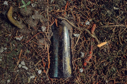 Glass bottle half buried in the ground covered with roots 