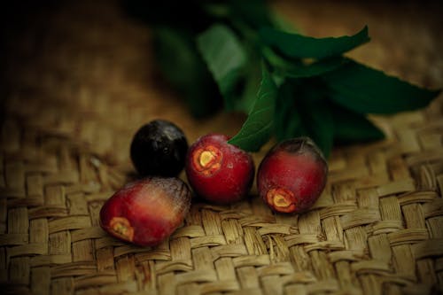 Imagine de stoc gratuită din fructe de pădure roșii, fundal negru și roșu, negru și roșu tapet