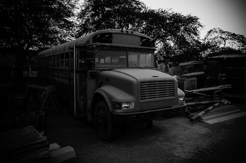 Imagine de stoc gratuită din alb-negru, autobuz, autobuz interior