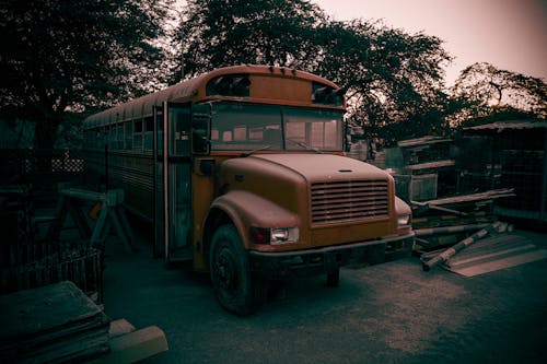 Gratis stockfoto met autobus, ijstruck, voedsel vrachtwagen