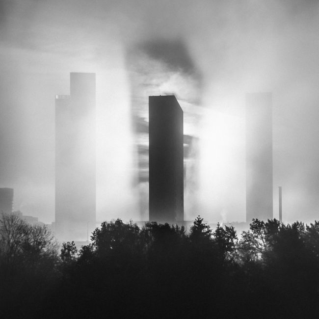 Misty urban skyline featuring towering skyscrapers enveloped in fog with visible trees.