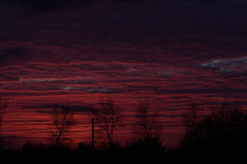 Photos gratuites de arbres, beau coucher de soleil, ciel