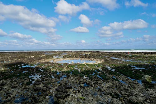 Foto profissional grátis de água, cenário, costa