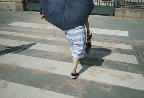 Ingyenes stockfotó esernyő, gyalogátkelőhely, gyalogló témában