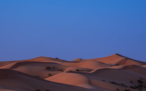 Scenic View of Sand Dunes in the Desert 