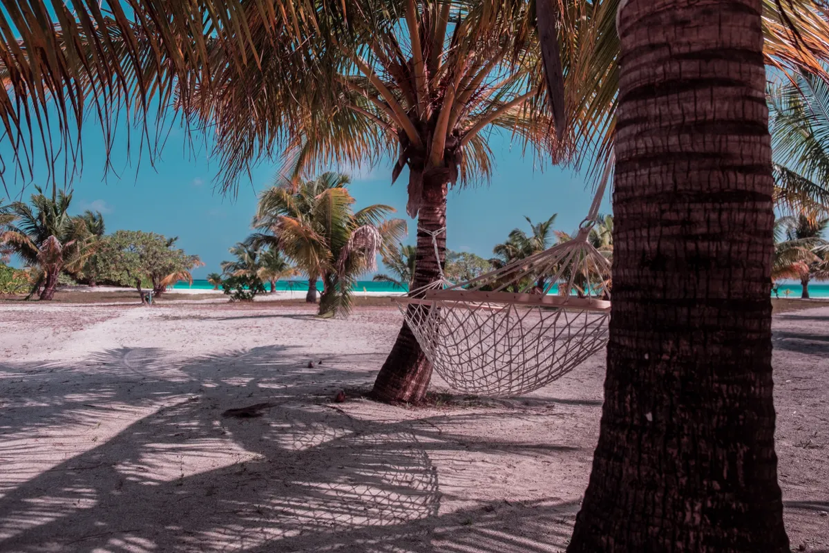 Hammock strung between palm trees on a quiet tropical beach