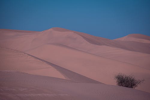 Foto d'estoc gratuïta de àrid, desert, dunes de sorra