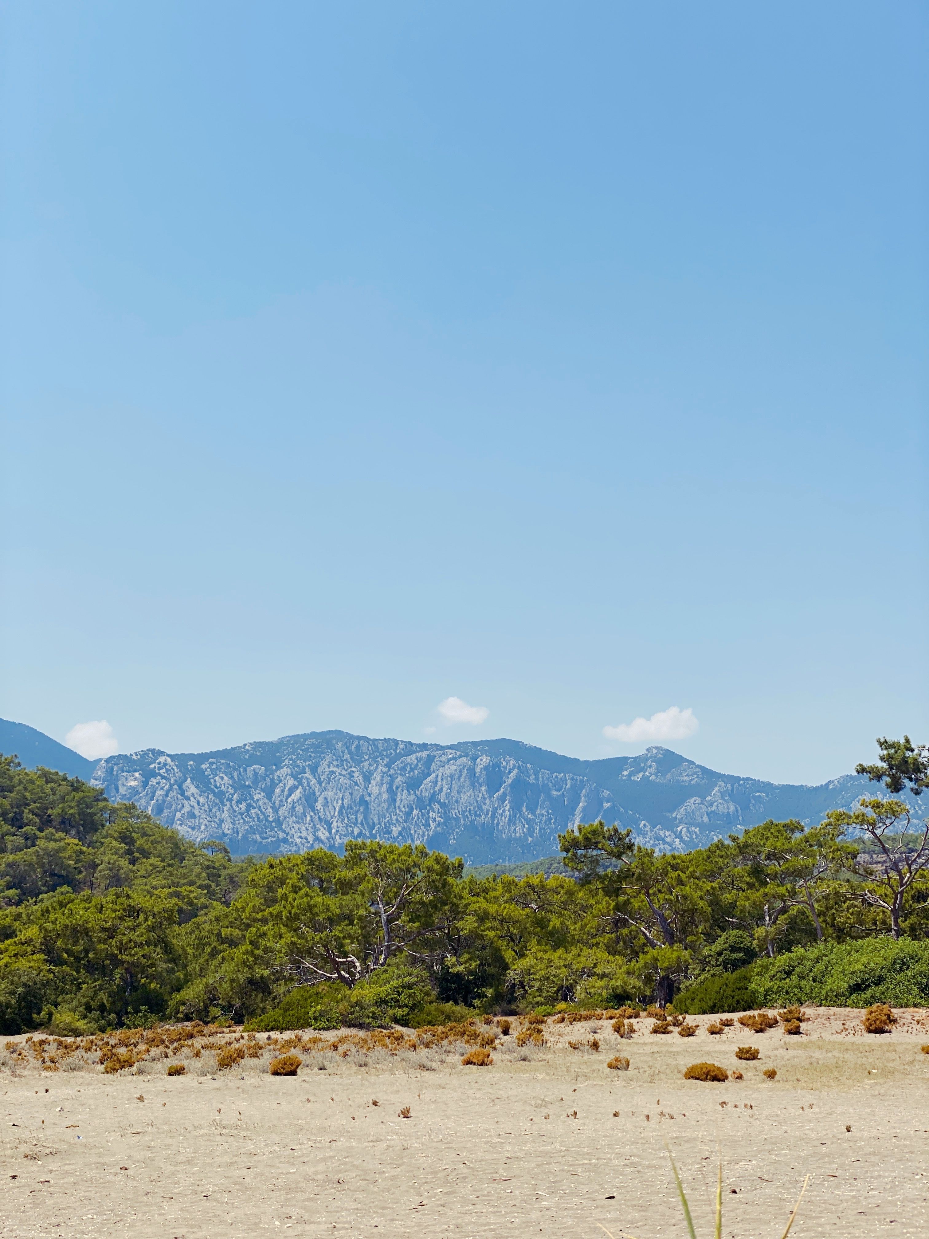 View of a Beach, Forest and Mountains under Blue Sky · Free Stock Photo