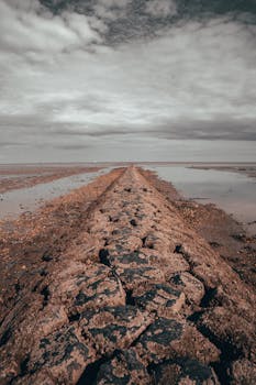 A scenic view of a rocky beach path leading to the horizon under dramatic clouds.