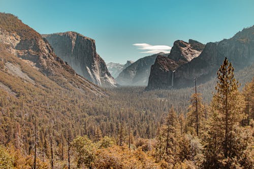 Scenic Landscape of a Valley in Yosemite National Park, California, USA