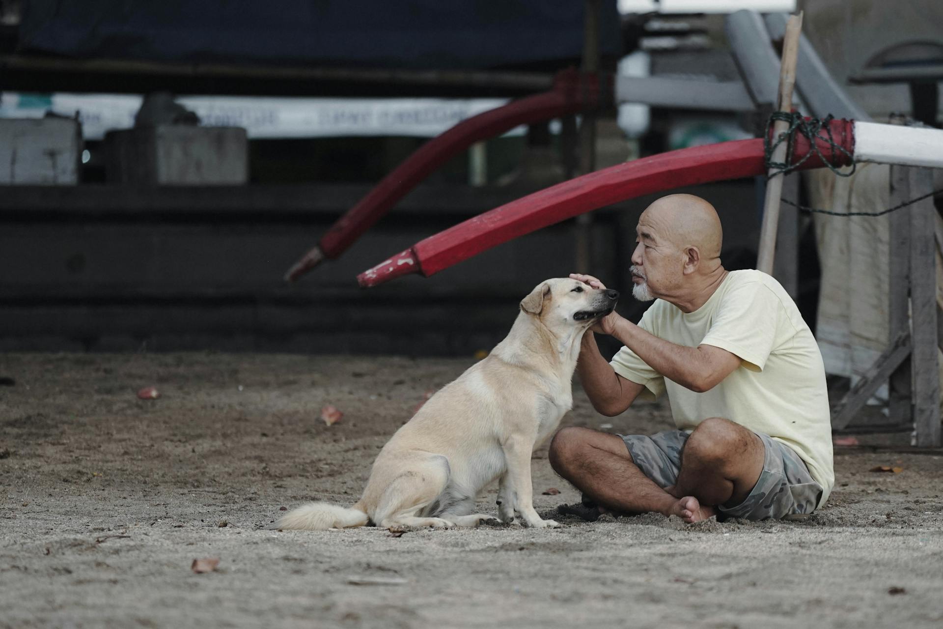 Man Sitting and Patting Dog