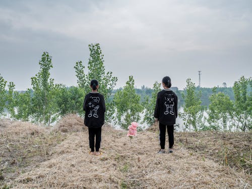 Foto d'estoc gratuïta de arbres, d'esquena, dempeus