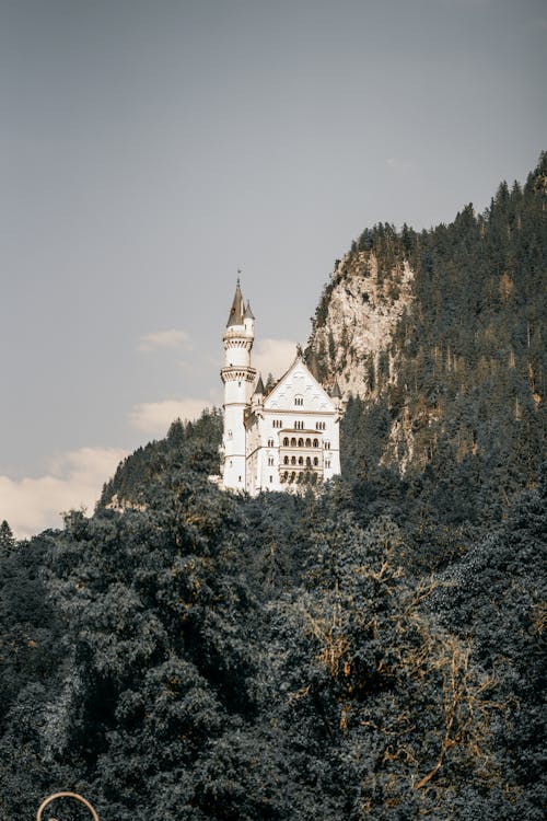 Photos gratuites de allemagne, arbres, château