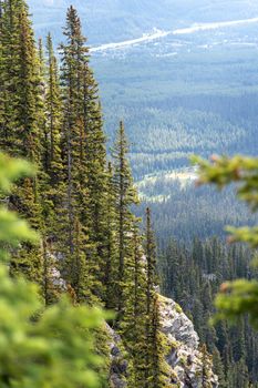 Breathtaking view of evergreen forests and rocky cliffs in Banff National Park, Alberta, Canada.