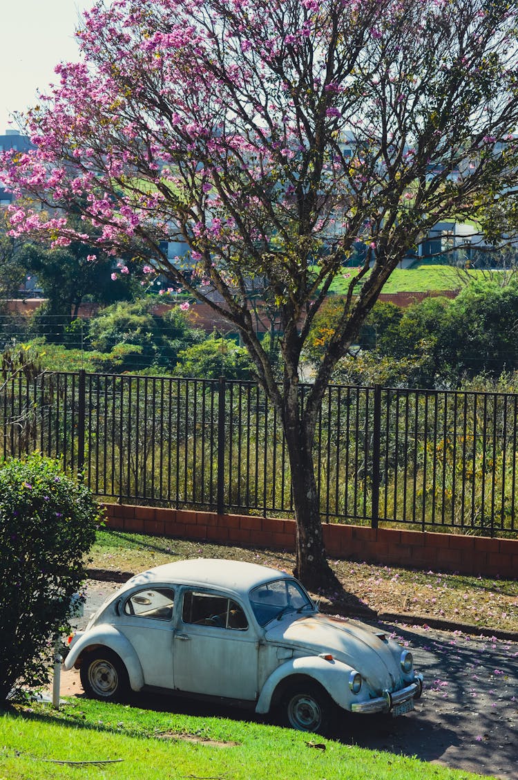 Vintage Car Parked On Street