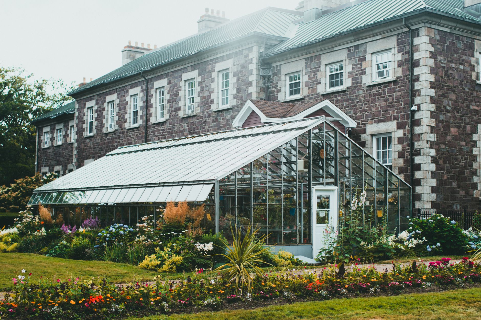 Best Greenhouse for Beginners (2026)