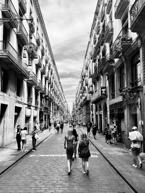 Fotos de stock gratuitas de blanco y negro, calle de compras, calles