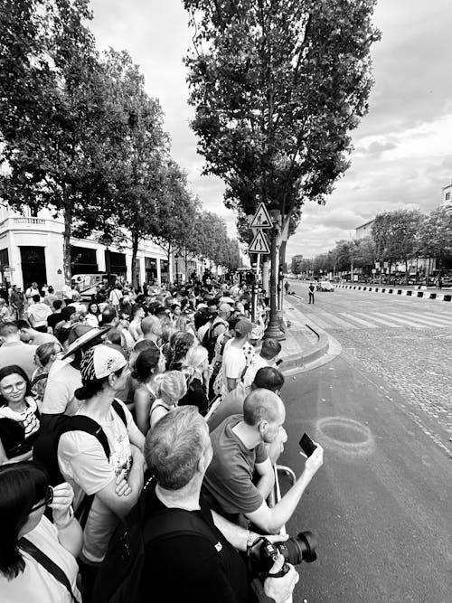 Fotos de stock gratuitas de audiencia, blanco y negro, calle