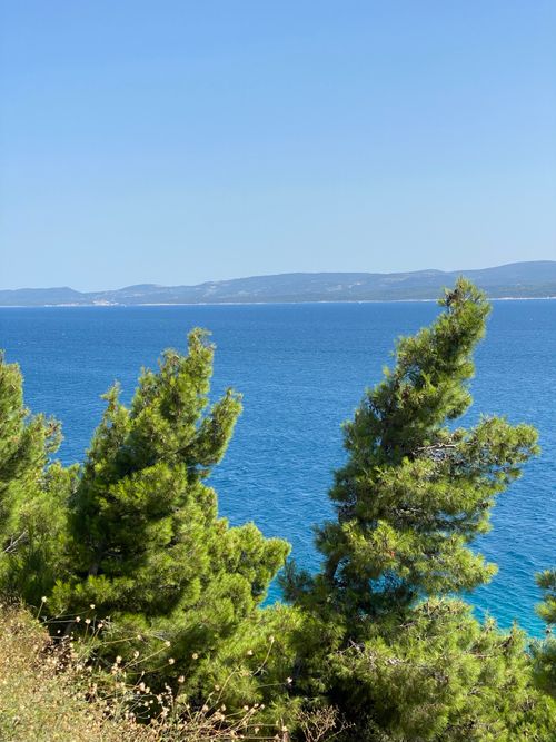 Free Peaceful view of Croatia's coastline with lush trees and clear blue sea under a sunny sky. Stock Photo