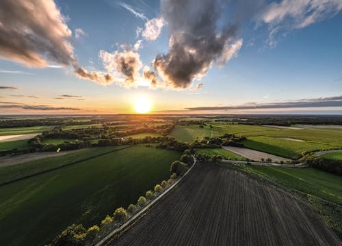Panorama of Fields at Sunset