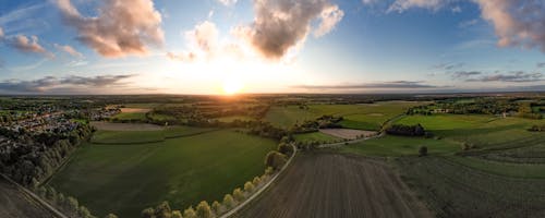 Panoramic View of Croplands and Trees at Sunset