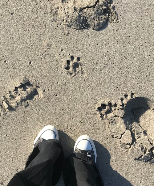 ayak izleri, bacaklar, dikey atış içeren Ücretsiz stok fotoğraf