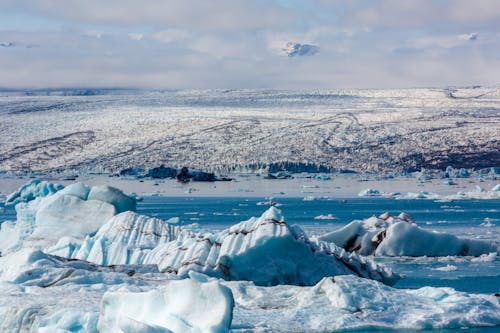 View of Icebergs and Glacier 