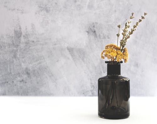 A Minimalist Flower Composition in a Glass Vase