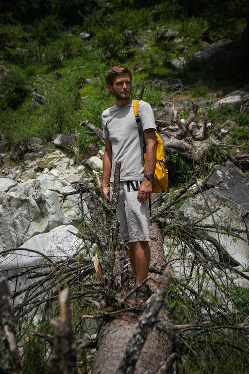 Foto d'estoc gratuïta de arbre caigut, aventura, caminant