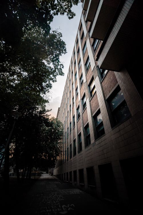 Free A tall urban building exterior with windows, framed by trees, creating a dramatic city atmosphere. Stock Photo
