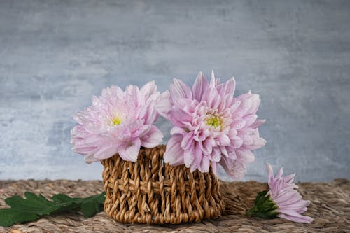 Blooming Flowers in Straw Basket