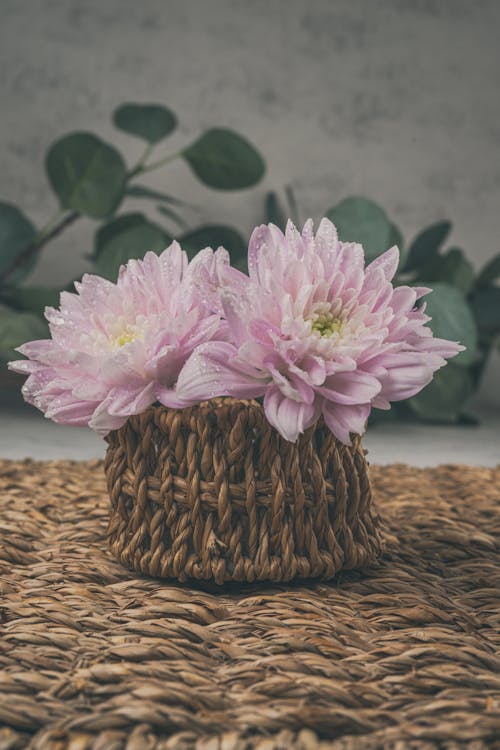 Blooming Flowers in Straw Basket