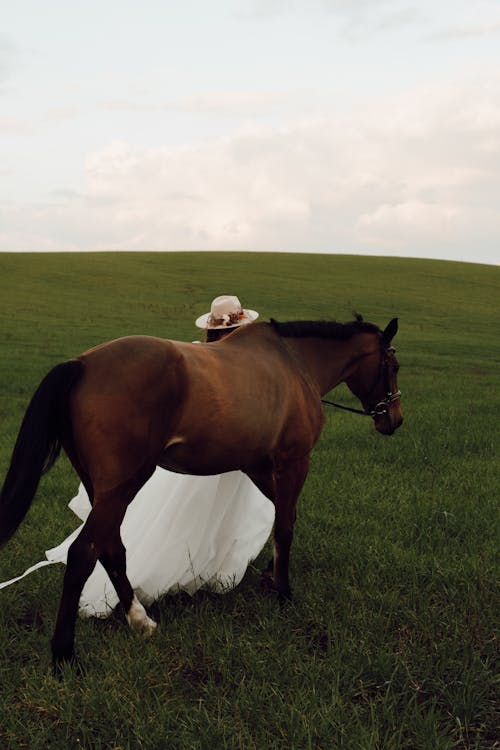 Woman in Dress and Hat Walking Horse in Summer Field