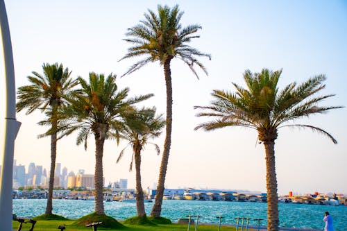 Ras Abu Aboud Corniche, Doha, Qatar