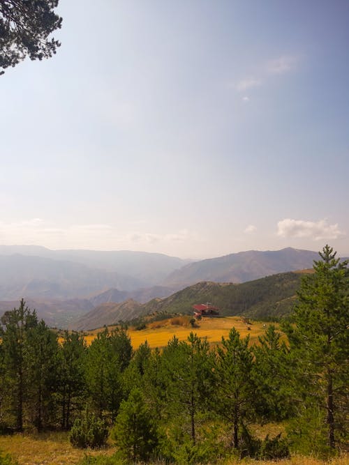 Foto d'estoc gratuïta de bosc, casa, casa de camp