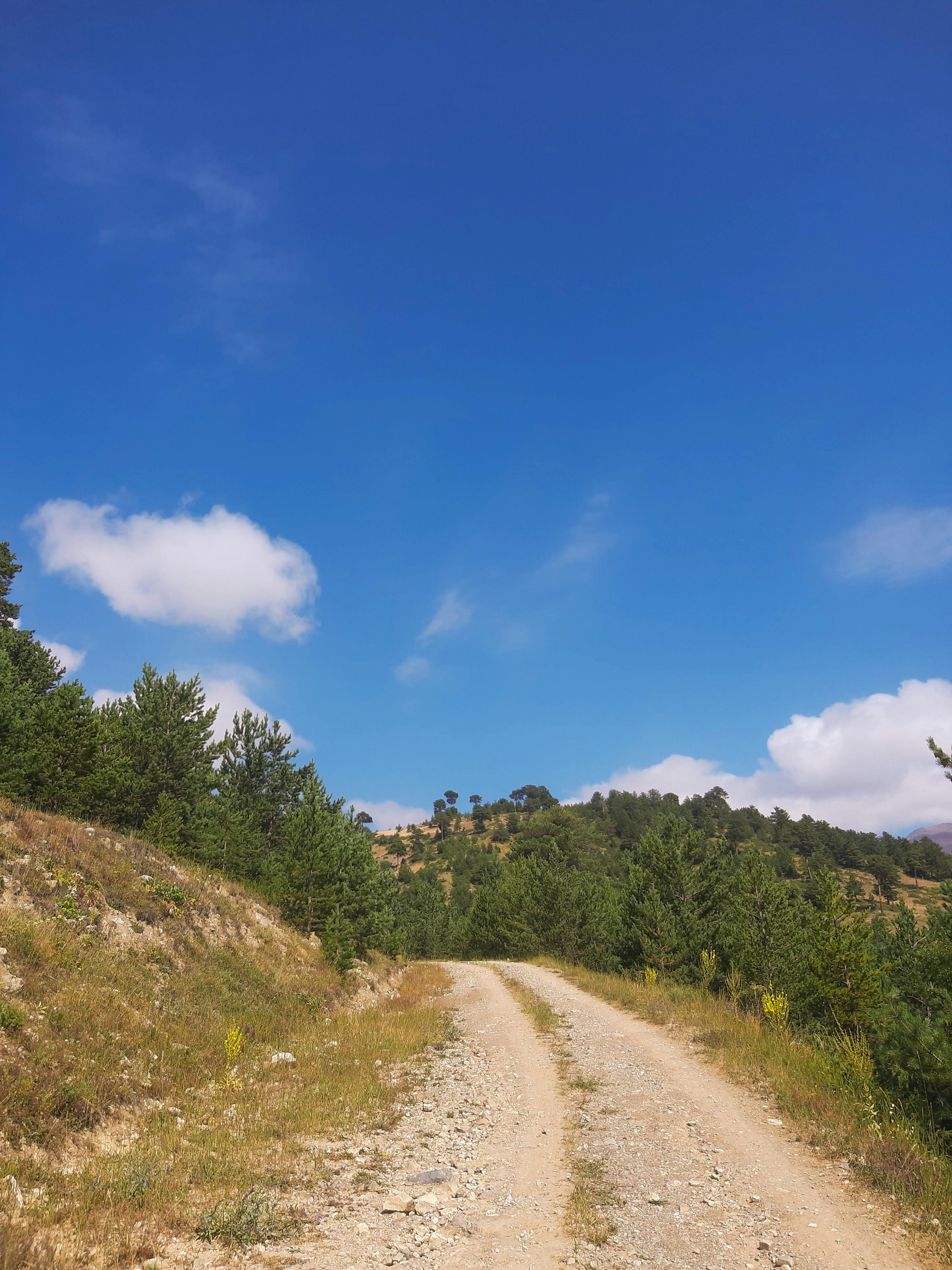 Gravel Road on Hill into Forest · Free Stock Photo