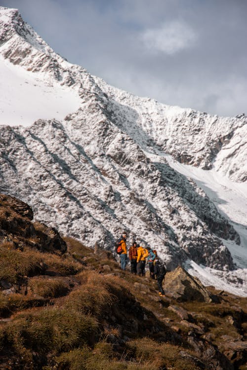 Foto d'estoc gratuïta de caminants, dempeus, fent excursionisme