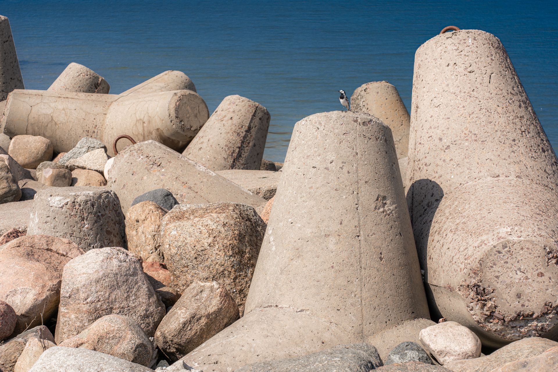 Concrete breakwater blocks at Ventspils shore with a lone bird perched on top.