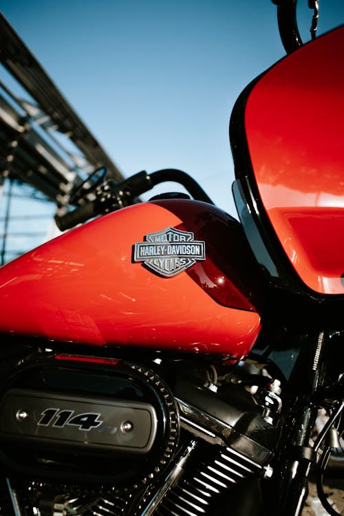 Fuel Tank of a Red Harley-Davidson Motorcycle
