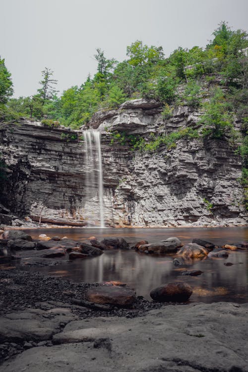 Immagine gratuita di acqua corrente, alberi, cascata